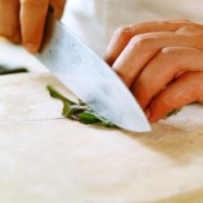 Basic Knife Skills I